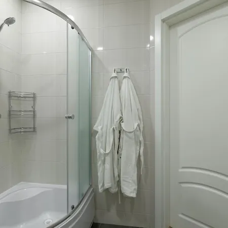 Apartment Dosoftei *